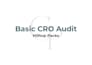 do a cro audit to boost your website conversions and sales